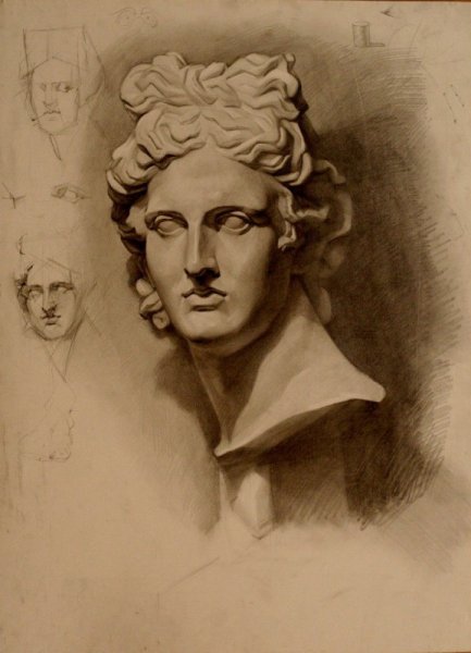 Аполлон Бельведерский Академический рисунок