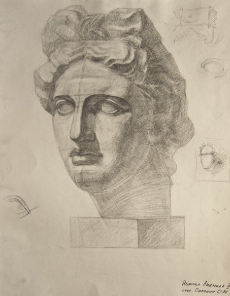 Голова Аполлона Бельведерского рисунок гипс