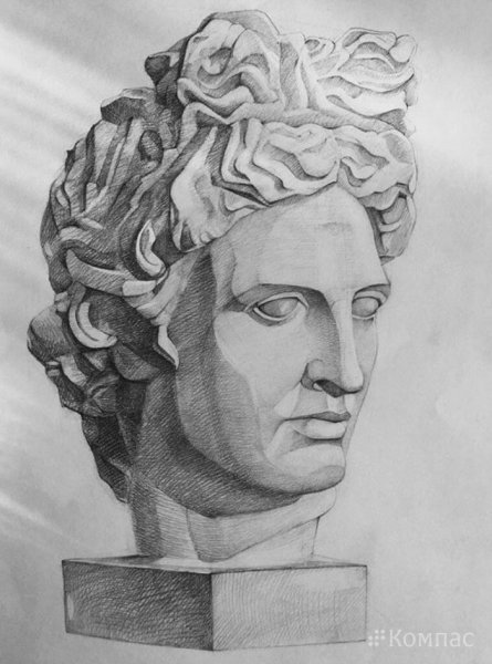 Аполлон Бельведерский голова гипс