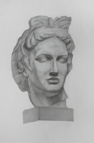 Аполлон Бельведерский голова гипс