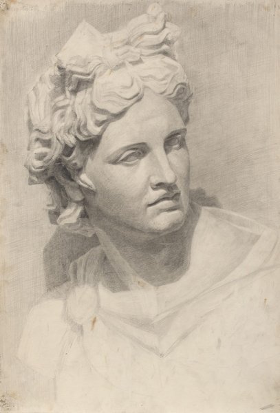 Аполлон Бельведерский голова гипс