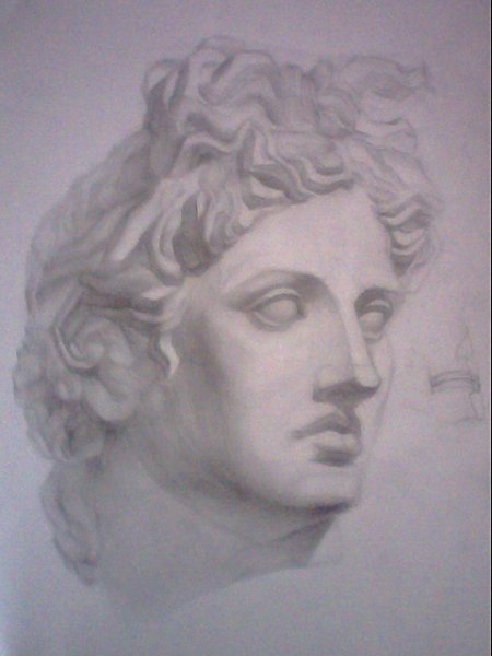 Гипсовая голова Аполлона