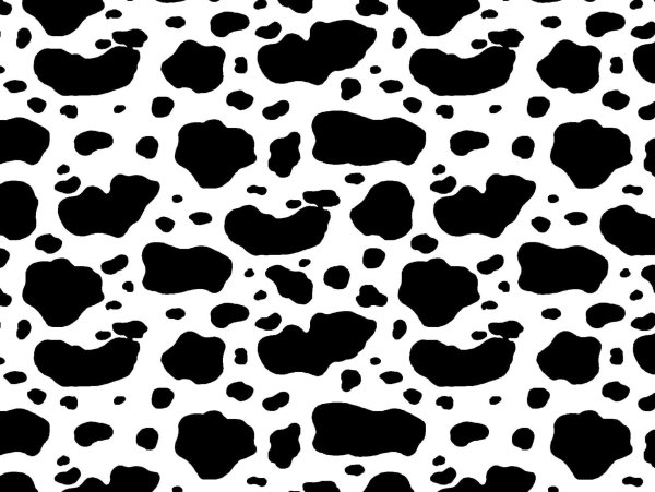 Пятна далматинца