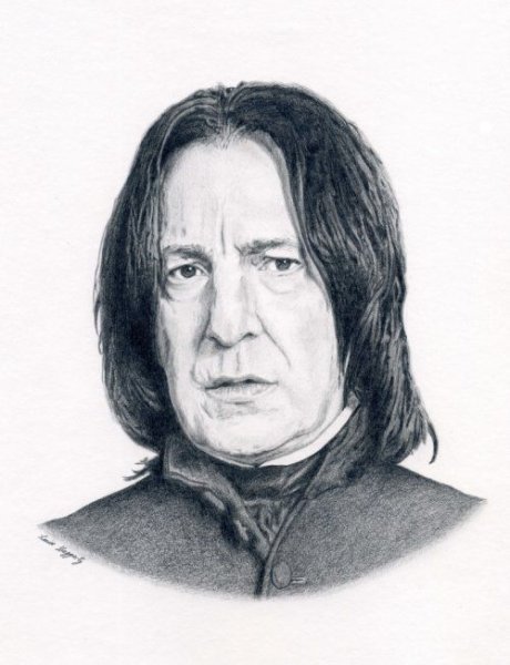 Рисунок Северуса Снейпа