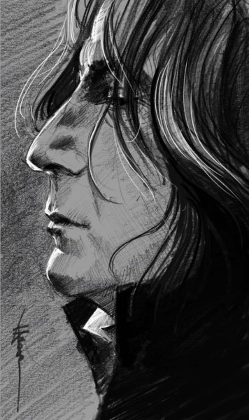 Профессор Снегг из Гарри Поттера арт