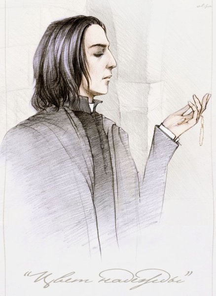 Северус Снегг арт аниме