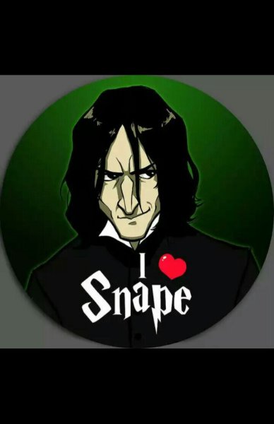 Северус Снегг и Лили карандашом