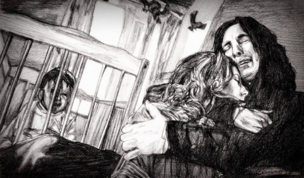 Гарри Поттер Лили и Северус