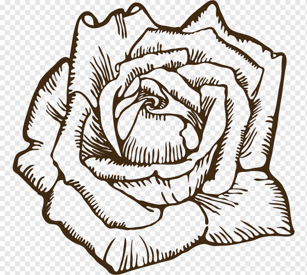 Роза иллюстрация вектор