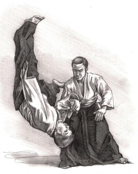 Айкидо арт