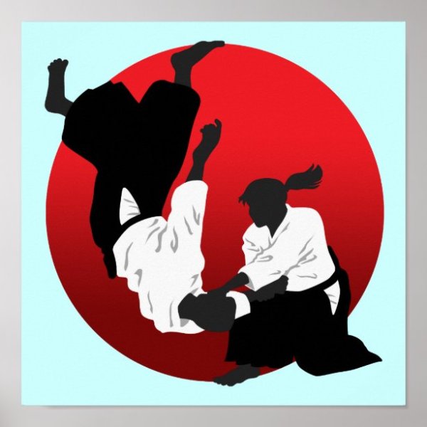 Борьба айкидо