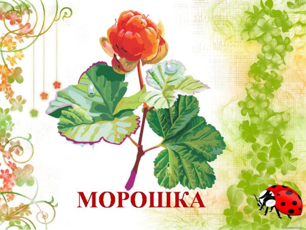 Лекарственные растения для детей