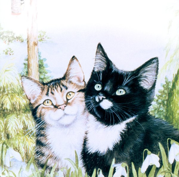 Котенок иллюстрация