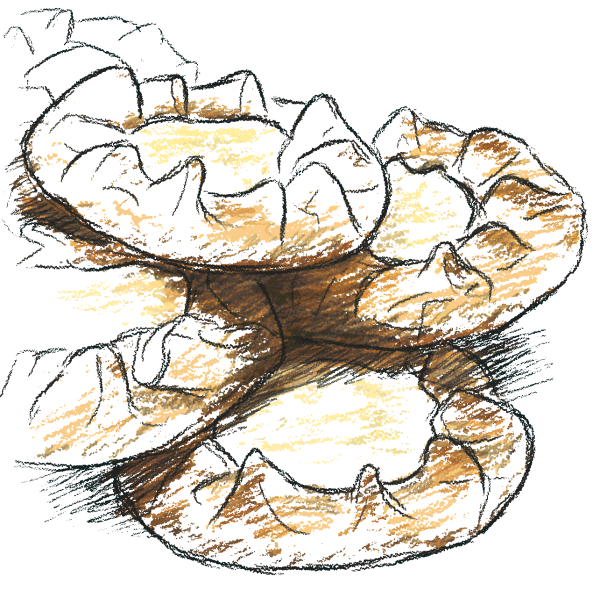 Удмуртские национальные блюда