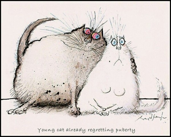 Рональд Сирл коты