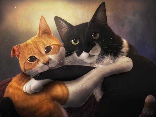 Кошачья любовь арт