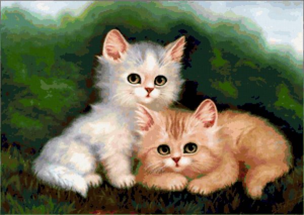 Нарисовать два котенка