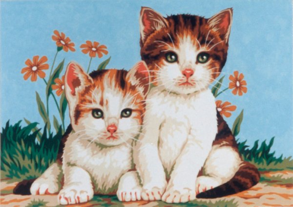 Иллюстрация два котенка для детей