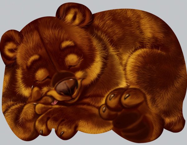 Изображение медведя для детей