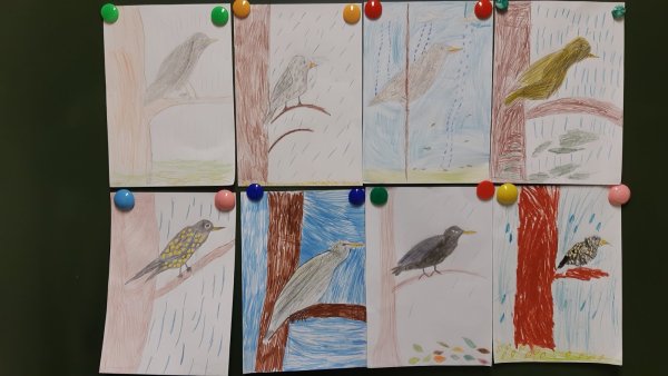 Рисунок к песне Скворушка