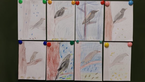 Птицы весной в Башкирии