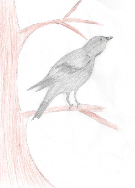 Скворушка прощается