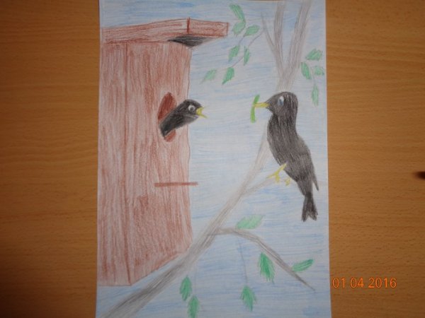 Скворечник для 2 класса