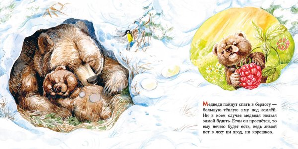 Медведь зимой для детей