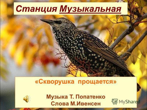 Рисование по точкам скворечник