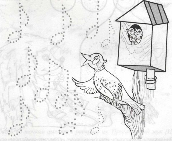 Рябинный скворец