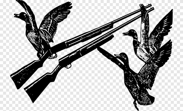 Охотничьи атрибуты