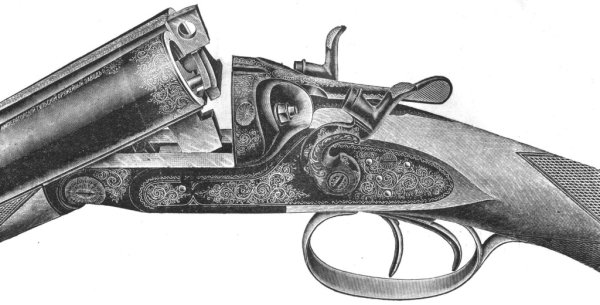 Двуствольное ружье 1900 года