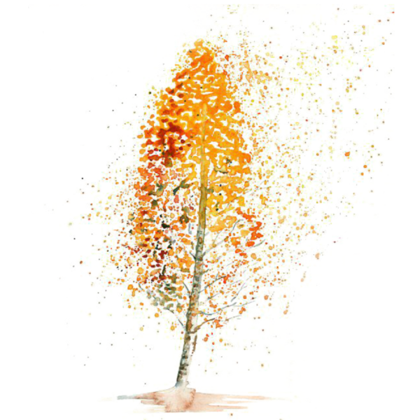 Поэтапное рисование осеннего дерева