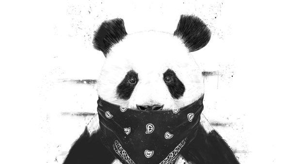 Панда с автоматом