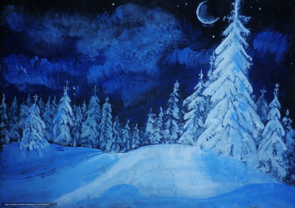 Сказочный зимний лес ночью