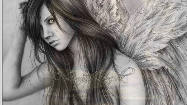 Ангел рисунок карандашом