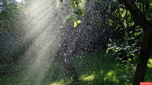 Мелкий дождь ситничек