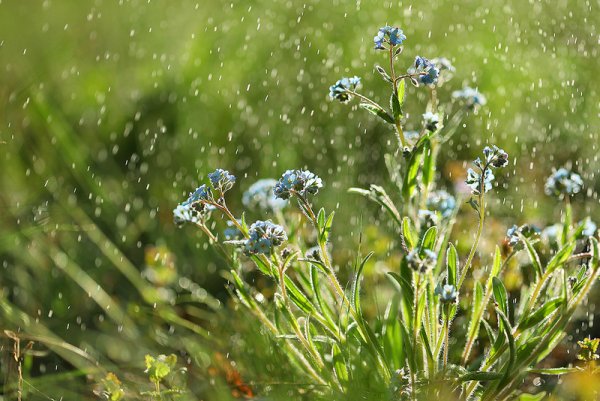 Человечек под зонтом