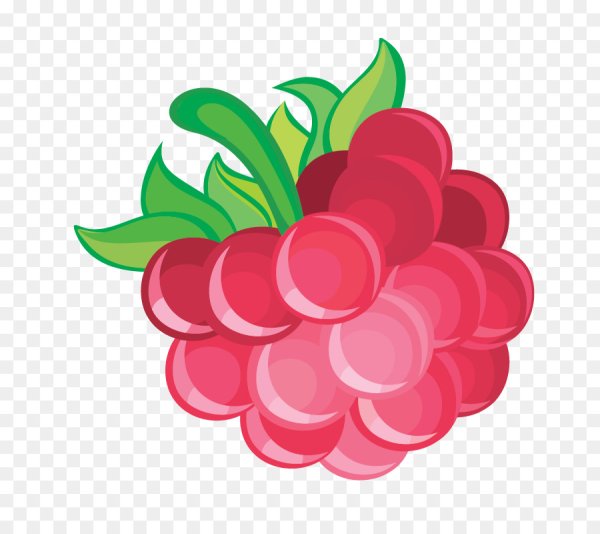 Малина для детей мультяшные