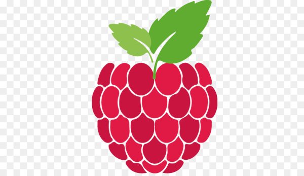 Векторное изображение малины
