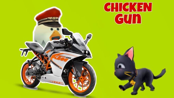 Чикен Ган кот