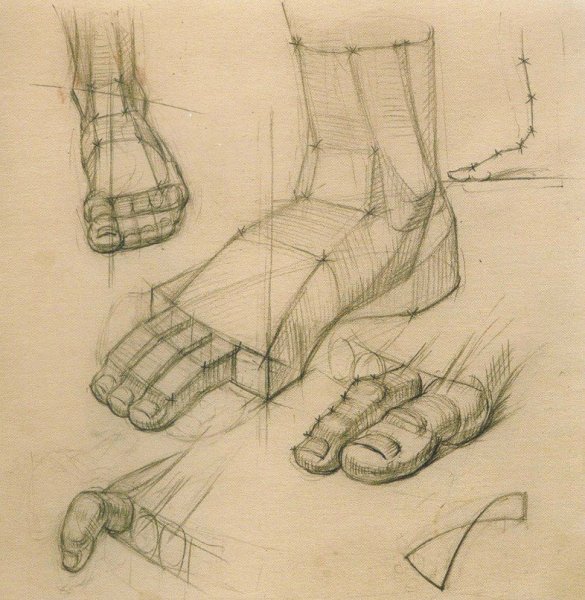 Александр Рыжкин пластическая анатомия стопы