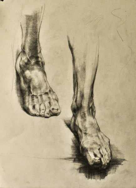 Наброски стопы