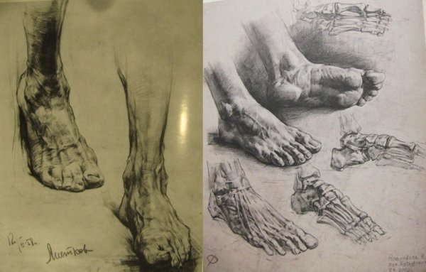 Баммес голеностоп