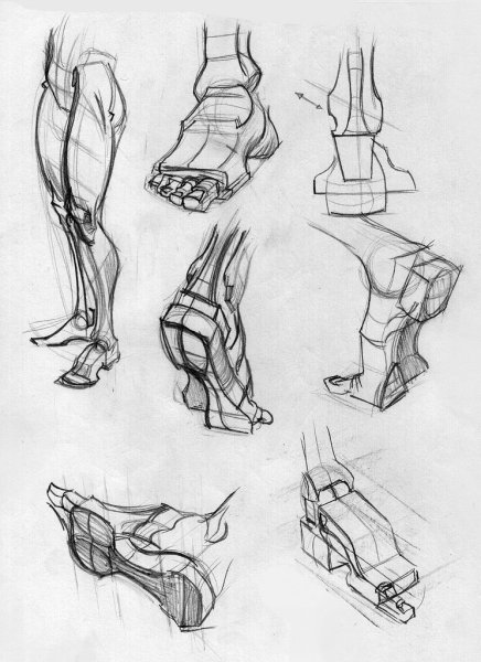 Зарисовки стопы