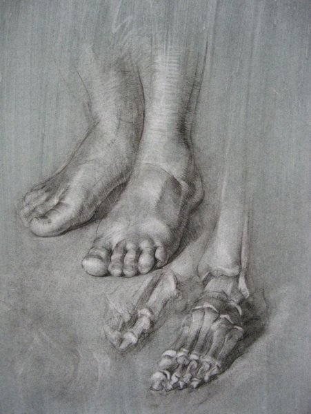 Построение гипсовой стопы