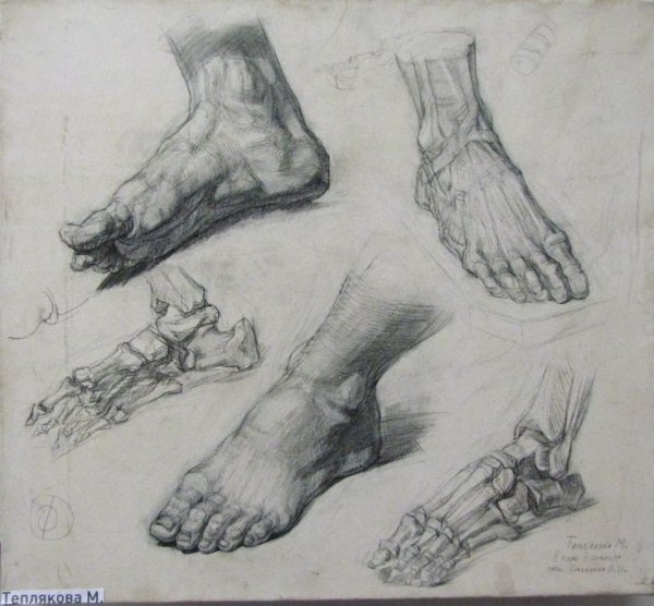 Академические Наброски ног