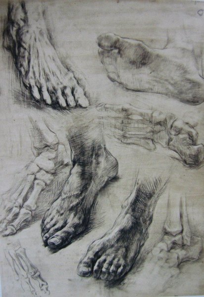 Стопа Академический рисунок