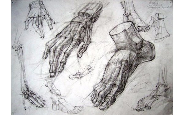 Иллюстрация ступни