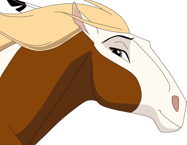 Морда лошади из Спирита